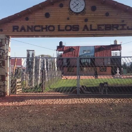 Rancho Los Alebrijes Zacatlan Ngoại thất bức ảnh